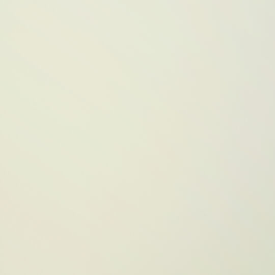 Klebefolie Uni Lack Magnolie image number null